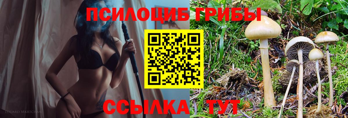 Псилоцибиновые грибы Magic Shrooms Ачинск